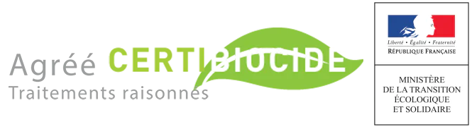 sos-chenilles-idf.fr